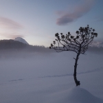 Wildsee Seefeld
