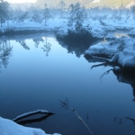 De Wildsee
