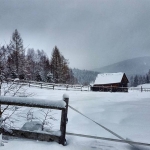 Omgeving achter Haus Arabella