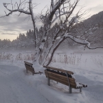 Besneeuwde bankjes rondom de Wildsee