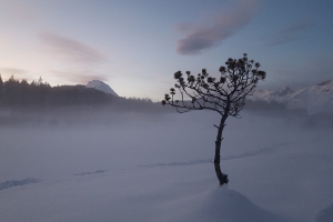 Wildsee Seefeld