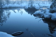 De Wildsee