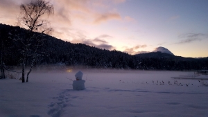 Wildsee Seefeld