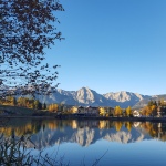 Wildsee
