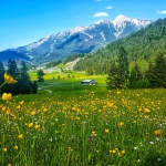 Seefeld op afstand