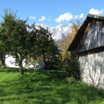 Miemingen