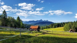Geigenbühel Seefeld