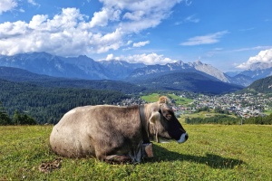 Gschwandtkopf Seefeld