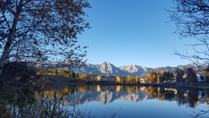 Wildsee