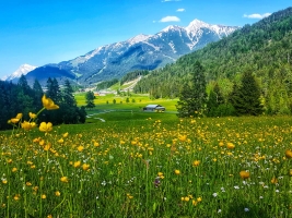Seefeld op afstand