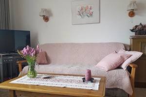 Woonkamer met slaapbank